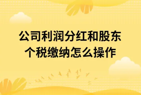​公司利润分红和股东个税缴纳怎么操作