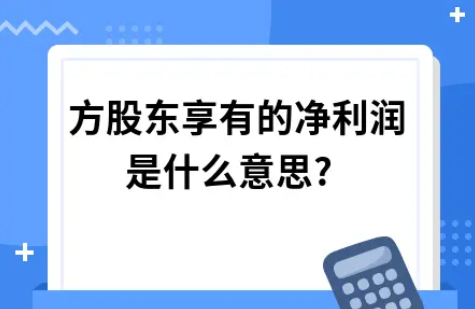 外方股东享有的净利润是什么意思?